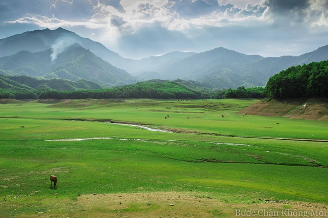 chổi quét nhà